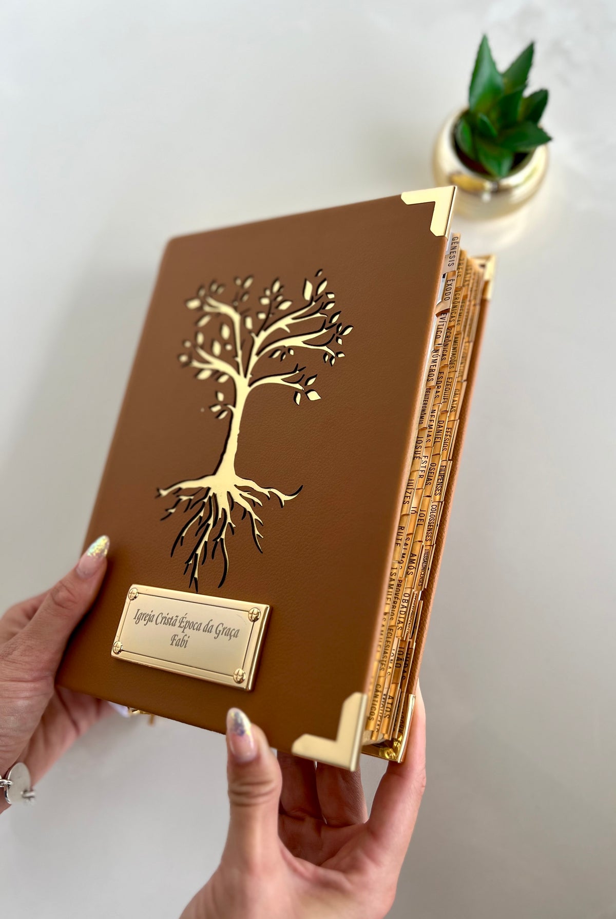 Combo Bíblia Courino Caramelo Árvore da Vida + Cartela de Índices + Placa Grande