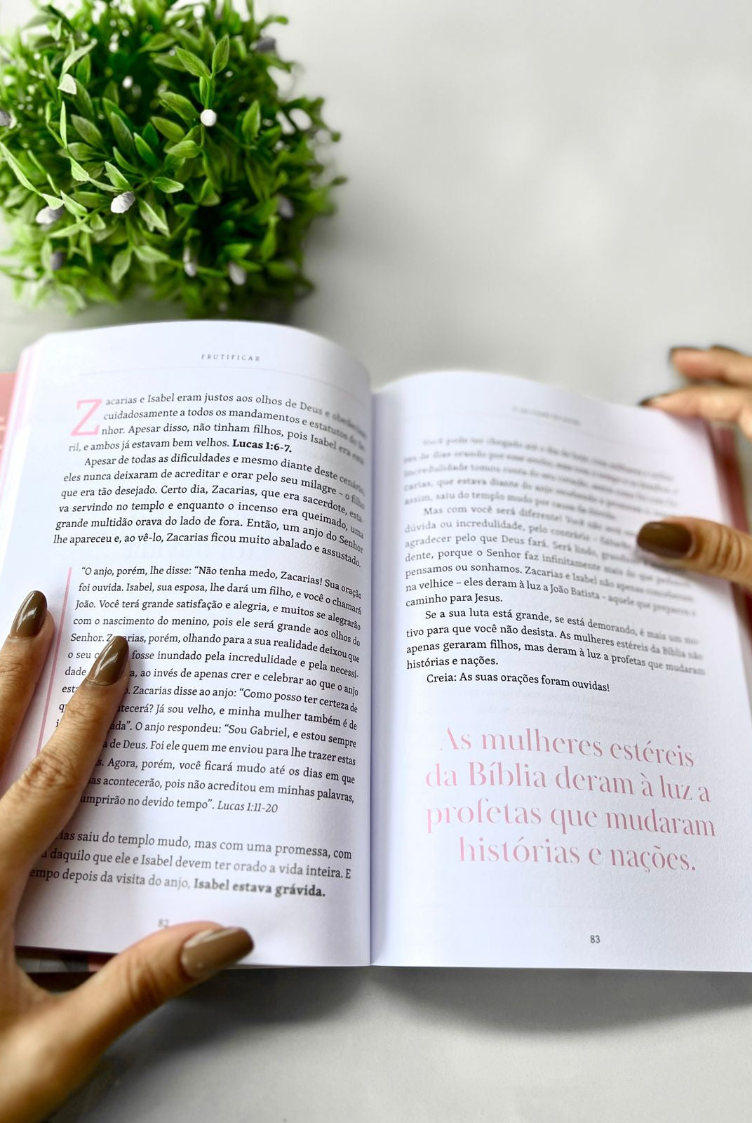 Livro Devocional Frutificar — foto 2