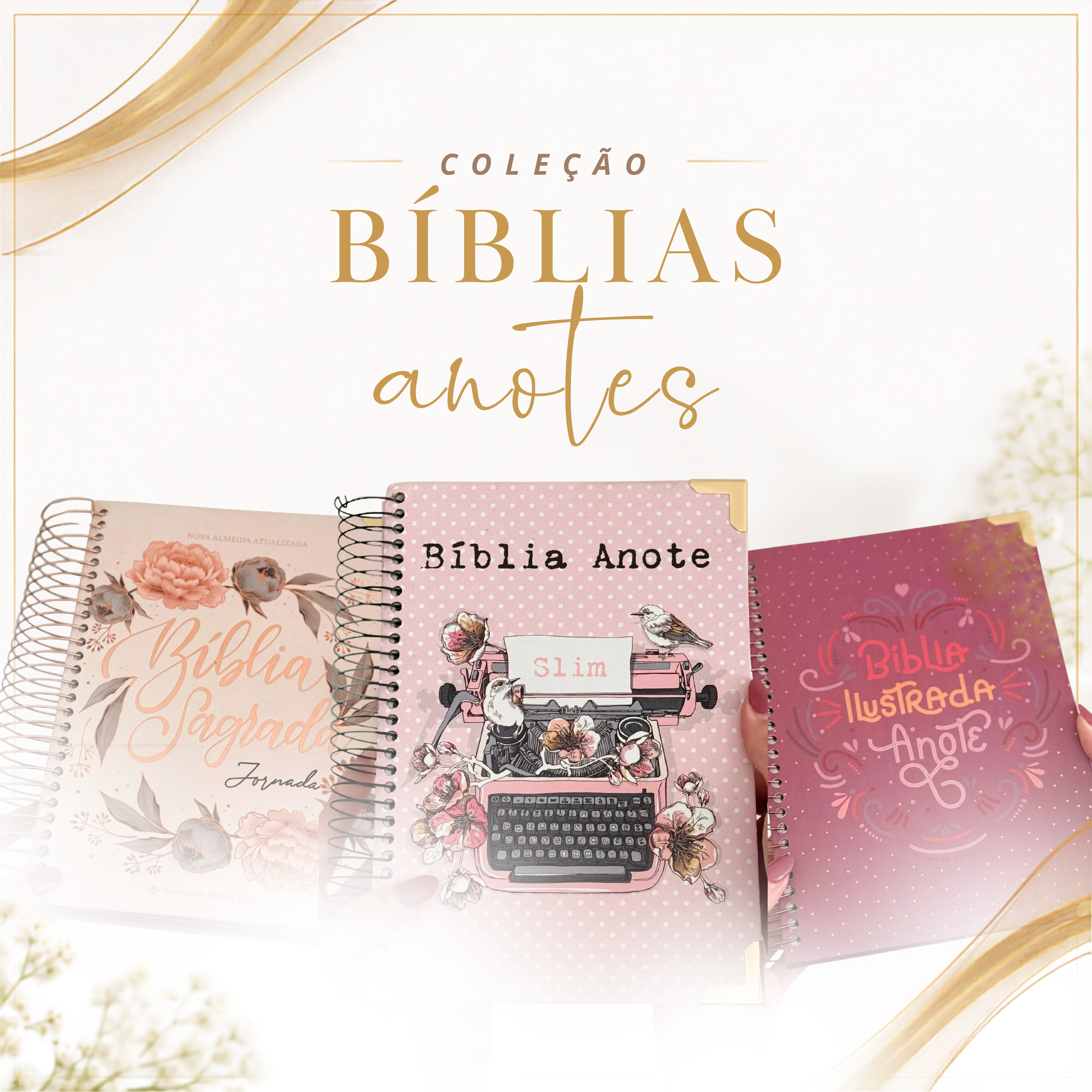 Coleção Bíblias Anotes