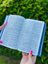 Bíblia Linha Basic - Leão a Sombra + Abas para índice bíblico